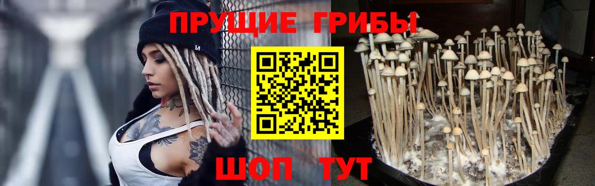 Галлюциногенные грибы прущие грибы Северск